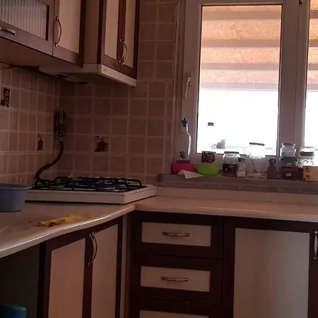 Nilufer Loft בית אירוח *